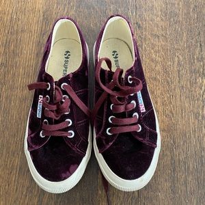 Superga velvet sneakers in burgundy